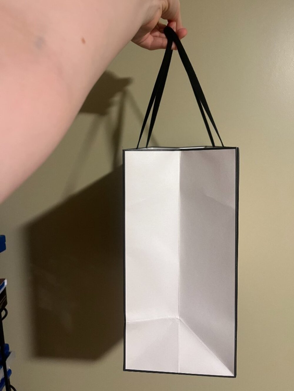Chanel Bag + Box - Picture 12 of 13